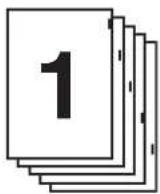 SHARP MX-M364N - BEZIEHUNG ZWISCHEN DEN ORIGINALLEN UND DEN REGISTERSEITEN - 1
