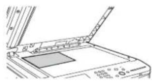 SHARP MX-M364N - -1 Legen Sie das Original ein. - 3