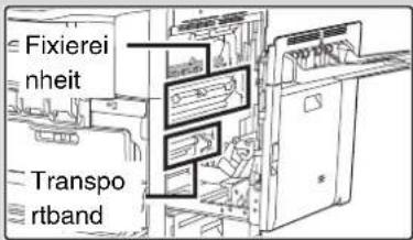 Fixierei nheit Transportband