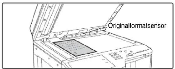 Originalformatsensor