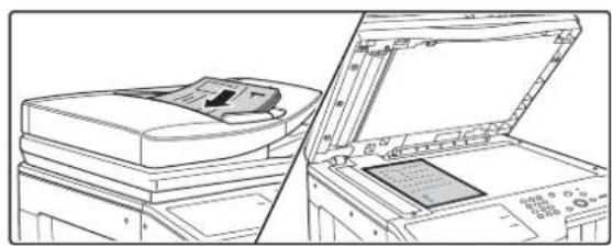 SHARP MX-M364N - Legen Sie das Original ein. - 1