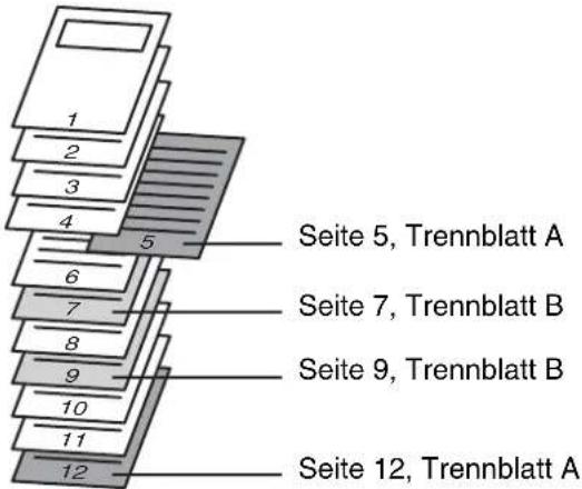 1 2 3 4 5 Seite 5, Trennblatt A 6 7 8 9 10 11 12 Seite 7, Trennblatt B Seite 9, Trennblatt B Seite 12, Trennblatt A