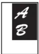 SHARP MX-M364N - KOPIEREN IN DER MITTE DES PAPIERS (Zentrieren) - 1