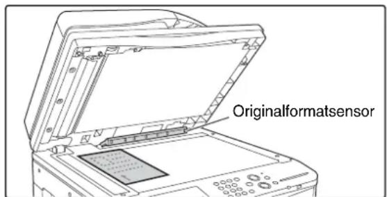 Originalformatsensor