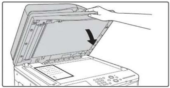 SHARP MX-M464N - Legen Sie das Original ein. - 5