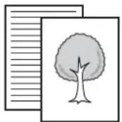 SHARP MX-M464N - AUTOMATISCHES SCANNEN BEIDER SEITEN EINES ORIGINALS (2-seitiges Original) - 3