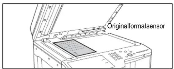 Originalformatsensor