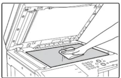 SHARP MX-M464N - Vorlagenglas Dokumentenabdeckung - 1