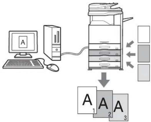 graph TD A["Computer"] --> B["Server"] B --> C["Folder"] C --> D["Gray Box 1"] C --> E["Gray Box 2"] C --> F["Gray Box 3"]