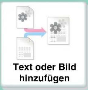 Text oder Bild hinzufügen