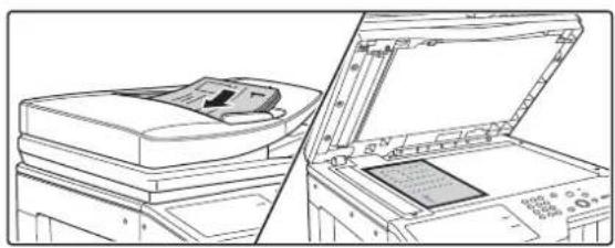 SHARP MX-M564N - Legen Sie das Original ein. - 1