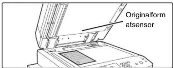 Originalformatsensor