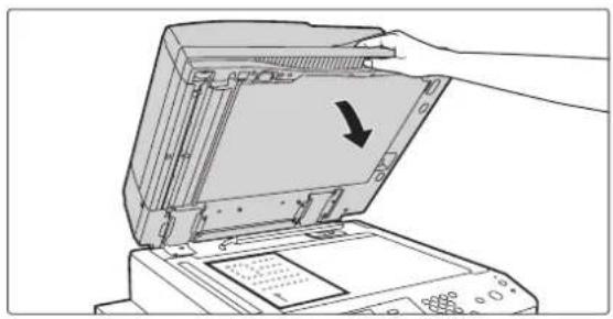 SHARP MX-M623U - Legen Sie das Original ein. - 5