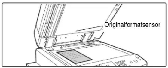 Originalformatsensor
