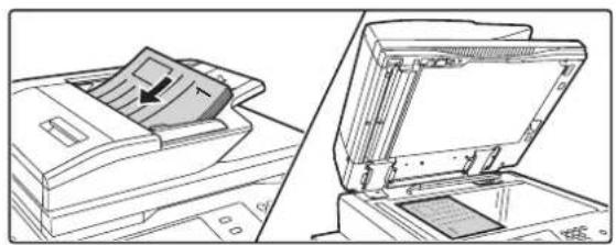 SHARP MX-M753U - Legen Sie das Original ein. - 1
