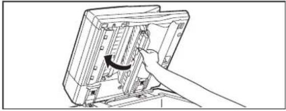 SHARP MX-M753U - Vorlagenglas Dokumentenabdeckung - 9