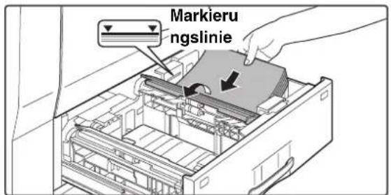 Markierungslinie