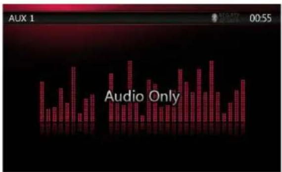 AUX 1 00:55 Audio Only