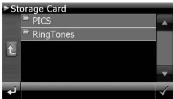 Storage Card PICS RingTones