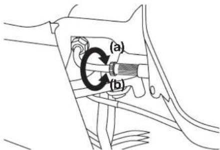 (a) (b)