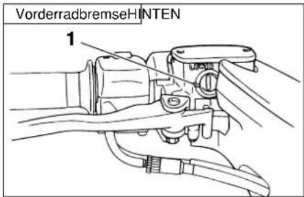 VorderradbremseHINTEN 1