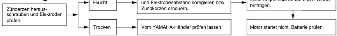 YAMAHA XP500 (2001) - Zündung - 1