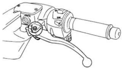 YAMAHA XP500 (2007) - Bremshebel vorn und hinten schmieren - 2