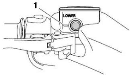 1 LOWER