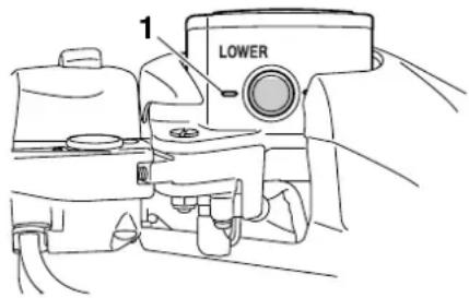 1 LOWER