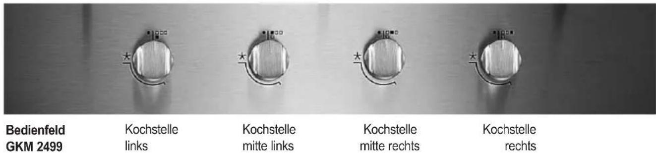ORANIER GKM 2467 - Bei Gasgeruch: - 5