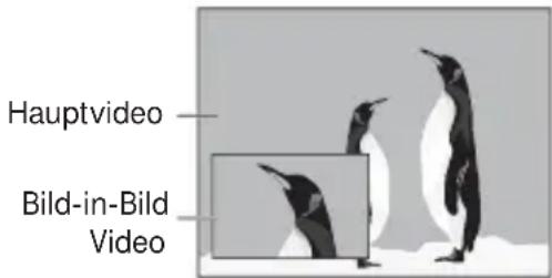 Hauptvideo Bild-in-Bild Video