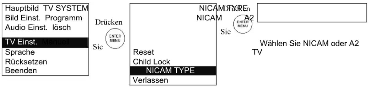 TARGA Visionary LT 2010 - TV-Einstellungen – NICAM TYPE - 1