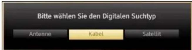 Bitte wählen Sie den digitalen Suchtyp Antenne Kabel Satellit