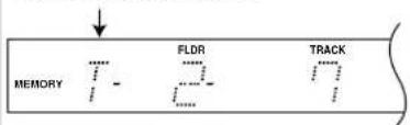 MEMORY FLDR TRACK
