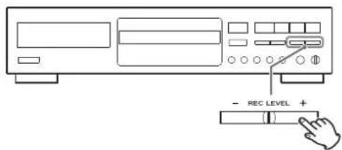- REC LEVEL + ( )