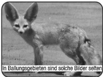 In Ballungsgebieten sind solche Bilder selten
