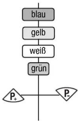 graph TD A["blau"] --> B["gelb"] B --> C["weiß"] C --> D["grün"] D --> E["P+"] D --> F["P-"]