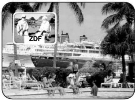 ZDF