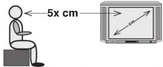 5x cm cm
