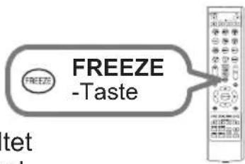 FREEZE -Taste tet
