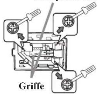 Griffe