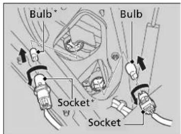 Bulb* Bulb Socket* Socket