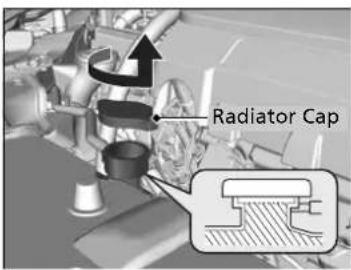 Radiator Cap