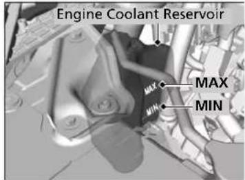 Engine Coolant Reservoir MAX MIN