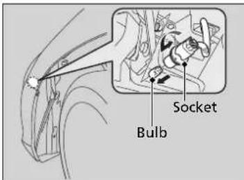 Socket Bulb