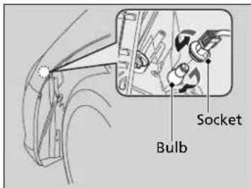 Socket Bulb