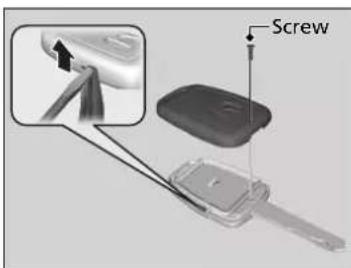 Screw