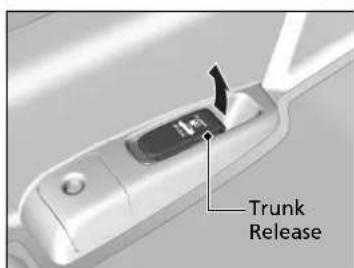 Trunk Release