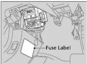 Fuse Label