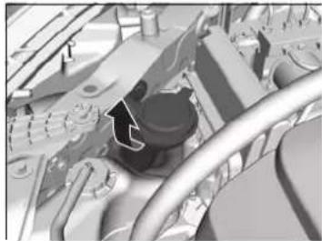 Honda Accord Sedan (2014) - Refilling Window Washer Fluid - 1